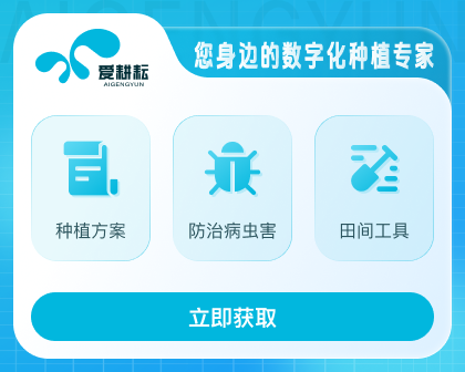 小程序封面.png